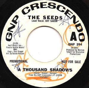 A Thousand Shadows / The Seeds A Thousand Shadows / The Seeds