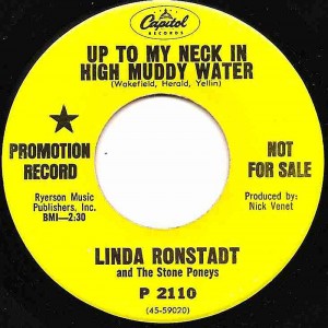 Stone Ponies - Up To My Neck USA