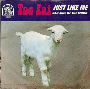 Toe Fat US Picture Sleeve